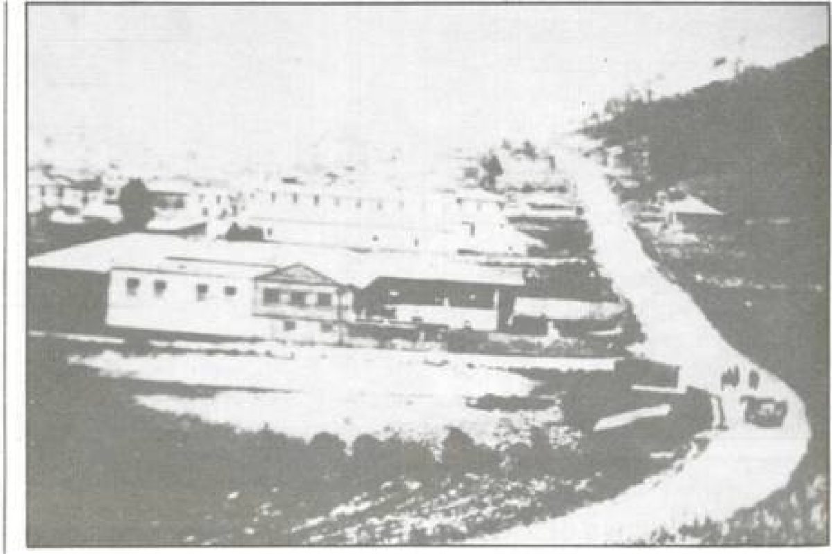 chunchideantao 13